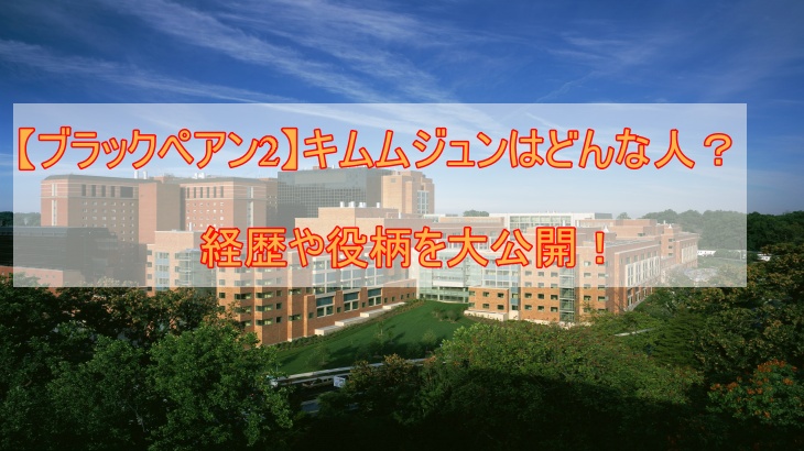 【ブラックペアン2】キムムジュンはどんな人？経歴や役柄を大公開！