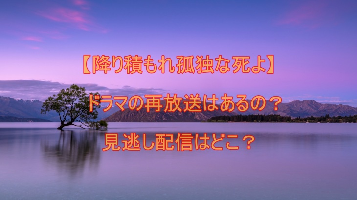 【降り積もれ孤独な死よ】ドラマの再放送はあるの？見逃し配信はどこ？