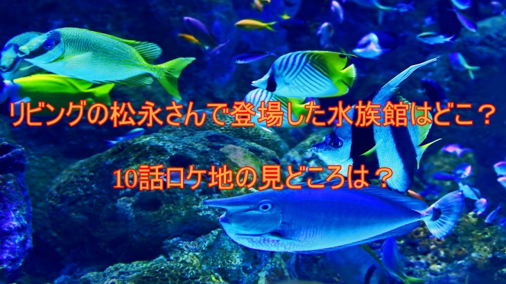 リビングの松永さんで登場した水族館はどこ？10話ロケ地の見どころは？