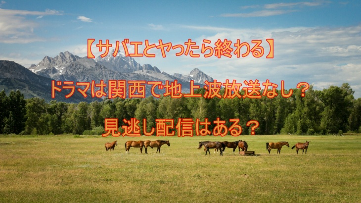 【サバエとヤったら終わる】ドラマは関西で地上波放送なし？ 見逃し配信はある？