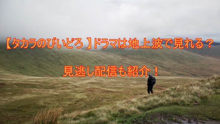 【タカラのびいどろ 】ドラマは地上波で見れる？見逃し配信も紹介！