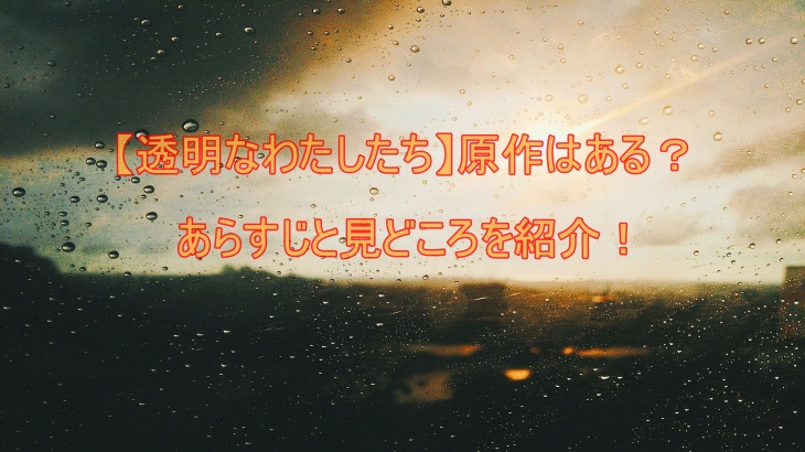 【透明なわたしたち】原作はある？あらすじと見どころを紹介！